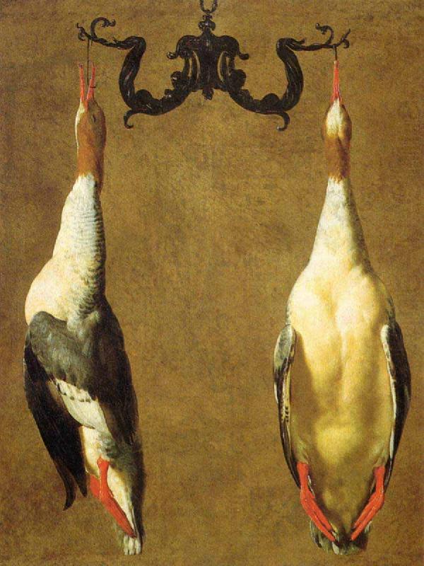Dandini, Cesare Two Hanged Teals china oil painting image